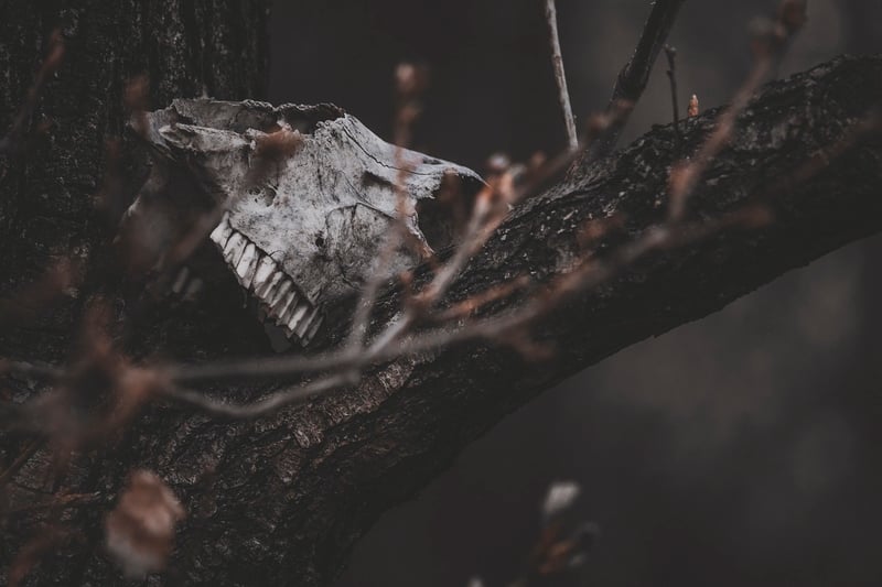 Fantasy trees