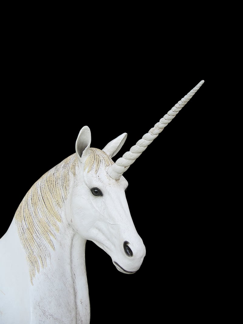 Unicorn decor ideas