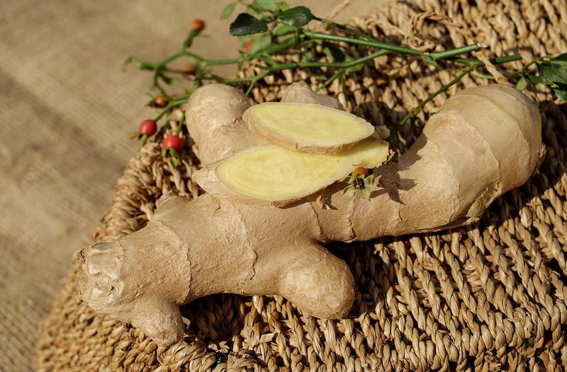 Mandrake Root
